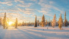 Schneelandschaft mit schneebedeckten Bäumen bei Sonnenuntergang