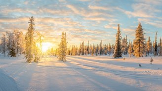 Schneelandschaft mit schneebedeckten Bäumen bei Sonnenuntergang