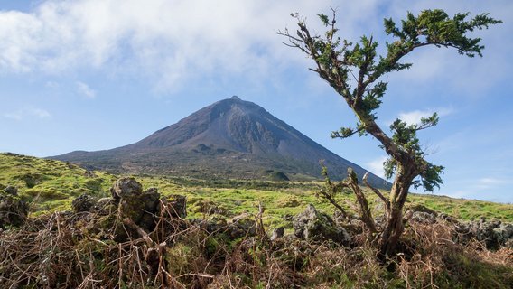 Aufnahme des Picos auf den Azoren mit einem Feld im Vordergrund