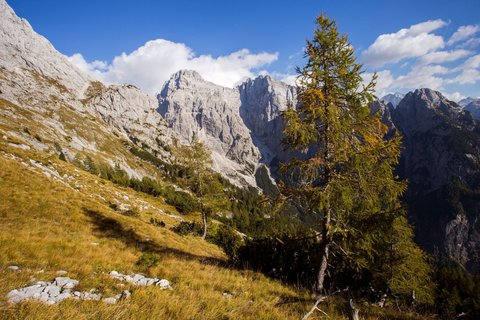 Panoramablick über den Berg Prisojnik