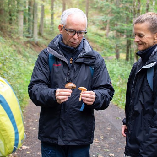 Zwei Wanderer prüfen Pilze im Westerwald.