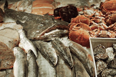 Auf Eis gekühlt liegen verschiedene Arten toter Fische, Krebse und Muscheln.