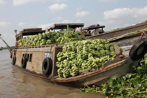 Ein Boot transportiert viele Bananen auf dem Mekong