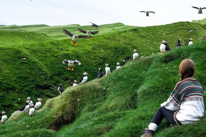 Mykines, bekannt für seine atemberaubende Vogelwelt Vorne rechts in der Ecke sitzt ein uns mit dem Rücken zugewandtes Mädchen, das zahlreiche Papageientaucher auf grünen Klippen beobachtet.
