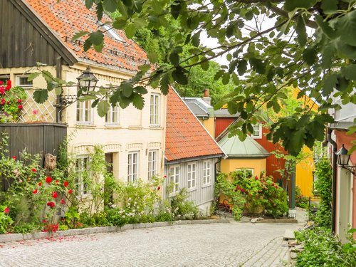 Man sieht eine abfallende, kopfsteingepflasterte Straße, die von kleinen historischen Häusern und Rosensträuchern gesäumt ist.