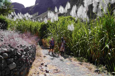 Das grüne Paul-Tal gehört zu den schönsten Sehenswürdigkeiten der Kapverden. Ein Mann und eine Frau stehen auf einem Weg neben hohem Pampagras.