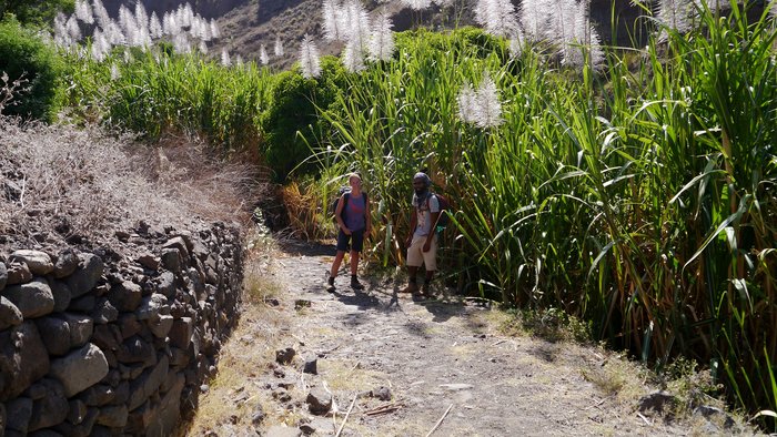 Ein Mann und eine Frau stehen auf einem Weg neben hohem Pampagras.