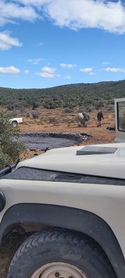 Über die Motorhaube eines Jeeps hinweg schaut man in eine afrikanische Landschaft. Hinter dem Jeep im Bildmittelgrund wurde eine runde Grbe ausgehoben und mit schwarzer Plastikfolie ausgekleidet, um eine Tränke anzulegen. Daneben steht ein Betonmischer. Die um die Wassertränke herum eher karge Landschaft geht in einen grün bewachsenen Hügel über, darüber blauer Himmel mit weißen Wolken.