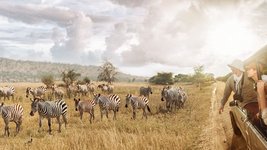 Fotografen suchen das perfekte Fotomotiv im Nationalpark von Tansania