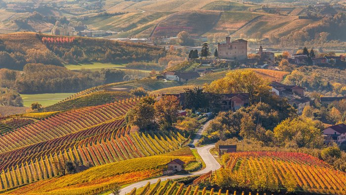 Panorama über Weinfelder