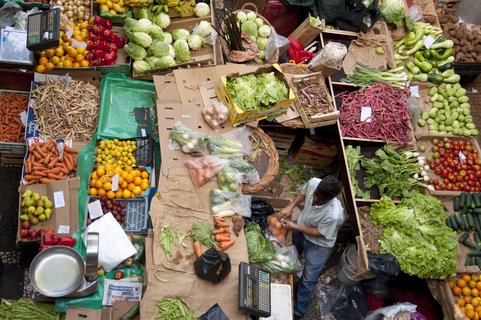 Mann am Obst- und Gemüsestand verpackt Orangen