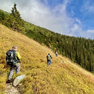 Eine Reisegruppe wandern über einen Hügel zum Berg Baba in der Slowakei.