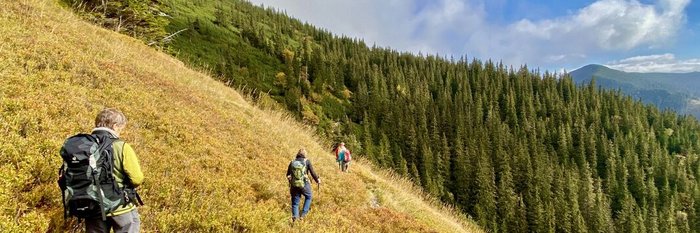 Eine Reisegruppe wandern über einen Hügel zum Berg Baba in der Slowakei.