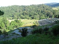 Doi Inthanon Nationalpark