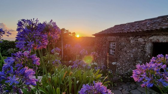 Im bild Vordergrund sieht man viele lila Blüten. Die rechte Bildhälfte wird von einem alten, aus großen Blocksteinen errichteten Haus eingenommen. Im Zentrum des Fotos steht die orange leuchtende Sonne tief über dem Horizont.