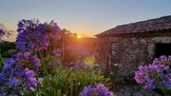 Farbenprächtiges Flores Im bild Vordergrund sieht man viele lila Blüten. Die rechte Bildhälfte wird von einem alten, aus großen Blocksteinen errichteten Haus eingenommen. Im Zentrum des Fotos steht die orange leuchtende Sonne tief über dem Horizont.