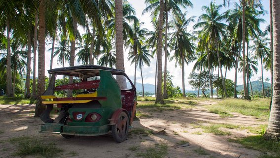 Unter Palmen am Strand steht ein Dreirad-Auto