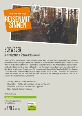 Downloaddatei des Posters für die Gruppenreisen "Herbstleuchten in Schwedisch Lappland" mit Kurzinformationen zur Reise nach Schweden. 