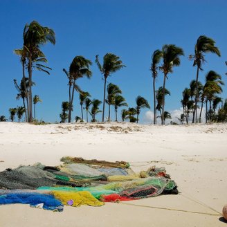 An einem Strand mit Palmen liegen Fischernetze