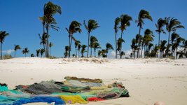 An einem Strand mit Palmen liegen Fischernetze