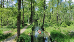 Ein Kanu fährt durch den Spreewald