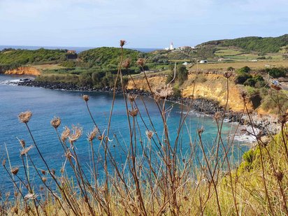 Durch vertrocknete Schafgarben im Vordergrund schaut man hinunter in eine Bucht auf das blaue Meer.