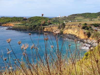 Durch vertrocknete Schafgarben im Vordergrund schaut man hinunter in eine Bucht auf das blaue Meer.