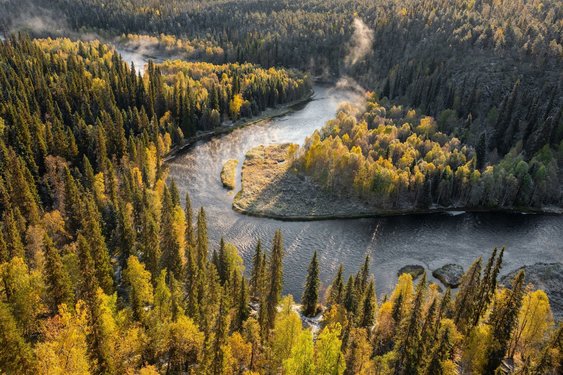 Ein Fluss mäandert durch eine urwüchsige Waldlandschaft.