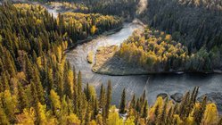 Ein Fluss mäandert durch eine urwüchsige Waldlandschaft.