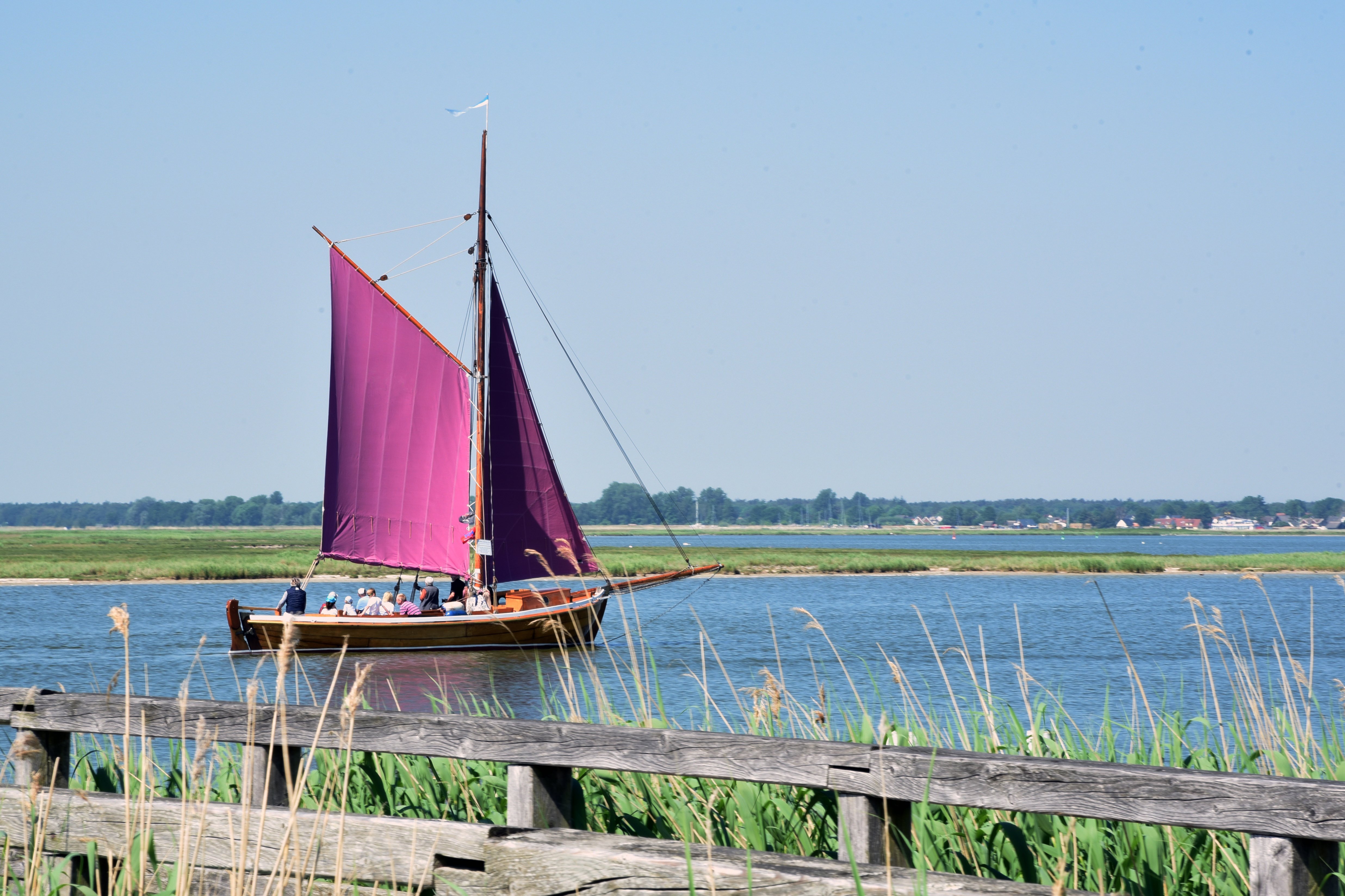 Traditionelles Zeesenboot auf dem Bodden auf Fischland-Darß-Zingst 