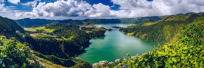 Hortensien wachsen um die Caldeira Sete Cidades auf São Miguel