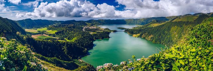 Hortensien wachsen um die Caldeira Sete Cidades auf São Miguel