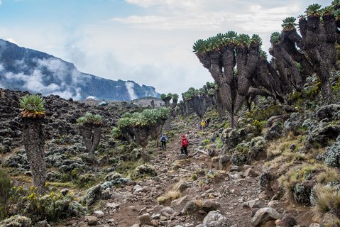 Karge Landschaft mit Rauch im Hintergrund auf dem Kilimanjaro in Tansania