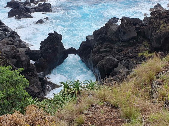 Von einem mit Gräsern und Gesträuch bewachsenen Steilhang schaut man hinunter auf das tosende Meer.