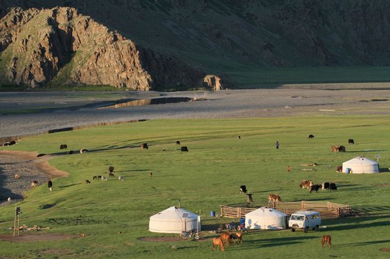 Drei Jurten stehen in der mongolischen Steppe