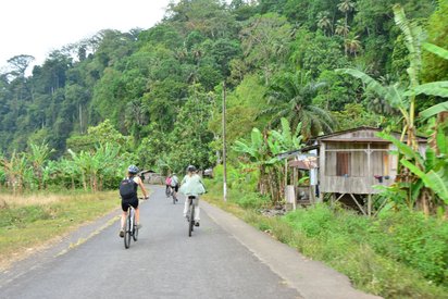 Auf einer schmalen, asphaltierten Straße fahren vier behelmte Radler vom Betrachter weg. Die Straße ist von vielen grünen Bäumen - u.a. Bananenpflanzen - gesäumt, zwischen denen vereinzelt Holzhütten stehen.