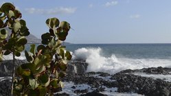 Ankunft auf La Palma