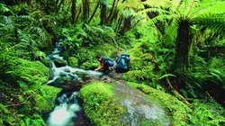 Wanderer erfrischt sich an einem Bachlauf im Wald