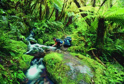 Wanderer erfrischt sich an einem Bachlauf im Wald