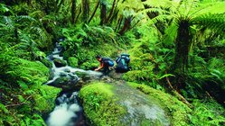 Wanderer erfrischt sich an einem Bachlauf im Wald