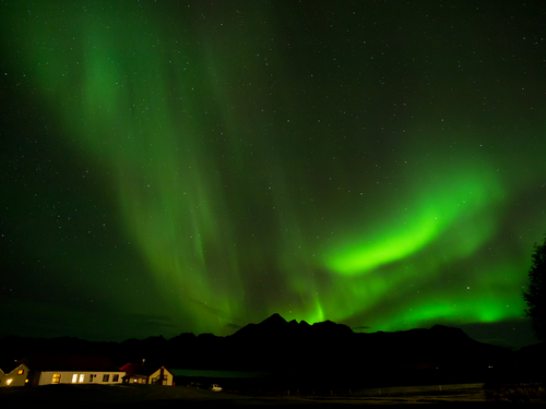 Polarlichter über Island Ein ansonsten tiefdunkler Nachthimmel wird von grünen Polarlichtern erleuchtet.