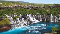 Hraunfossar – Lavawasserfälle im Westen Islands Breite, fächerförmige Wasserfälle ergießen sich direkt aus einer moosbewachsenen Lavazunge in einen leuchtend blauen Fluss. Die Kulisse ist grün und felsig.