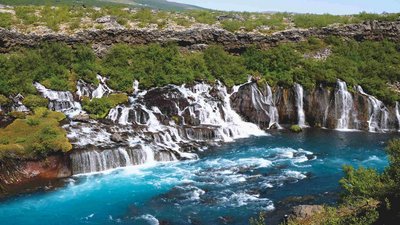 Hraunfossar – Lavawasserfälle im Westen Islands Breite, fächerförmige Wasserfälle ergießen sich direkt aus einer moosbewachsenen Lavazunge in einen leuchtend blauen Fluss. Die Kulisse ist grün und felsig.