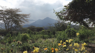 Landschaftsimpression Hinter einer grünen mit Blumen, Sträuchern und Bäumen bewachsenen Landschaft erhebt sich ein Berg.
