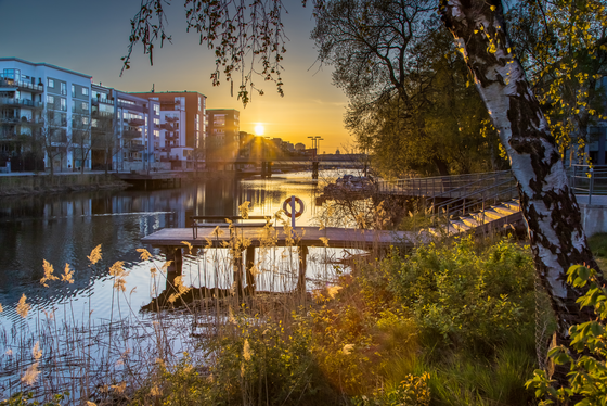 Impression aus dem Stockholmer Stadtviertel Hammarby Sjöstad Durch das Foto zieht sich von links vorne bis in den Bildmittelgrund hinein ein Gewässer, an dessem linken Ufer moderne mehrstöckige Gebäude stehen, das rechte Ufer ist mit Bäumen bewachsen.