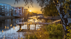 Durch das Foto zieht sich von links vorne bis in den Bildmittelgrund hinein ein Gewässer, an dessem linken Ufer moderne mehrstöckige Gebäude stehen, das rechte Ufer ist mit Bäumen bewachsen.