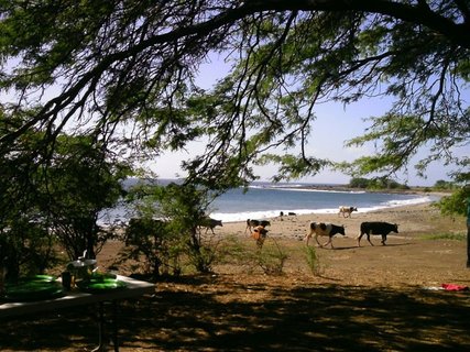 Der Strand von Sao Nicolau