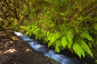 Wanderweg in der Natur, an dem ein Wasserlauf entlangt fließt