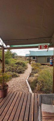 Das extrem hochformatige Foto wurde von unter einem Vordach stehend aufgenommen. Man sieht den mit Holzdielen belegten Boden und einen Kiesweg, der in den Hintergrund führt zum nächsten Gebäude, das aus einem weißen Kubus mit grünem Dach besteht. Dahinter schließen sich noch weitere Gebäude an. Links und rechts des Wegs, zwischen den Gebäuden wachsen niedrige grüne Büsche.