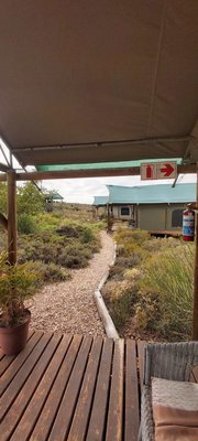 Das extrem hochformatige Foto wurde von unter einem Vordach stehend aufgenommen. Man sieht den mit Holzdielen belegten Boden und einen Kiesweg, der in den Hintergrund führt zum nächsten Gebäude, das aus einem weißen Kubus mit grünem Dach besteht. Dahinter schließen sich noch weitere Gebäude an. Links und rechts des Wegs, zwischen den Gebäuden wachsen niedrige grüne Büsche.